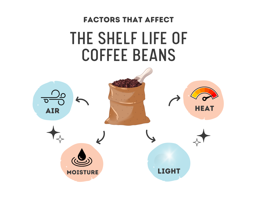 How Long To Store Coffee Beans Everything You Need To Know