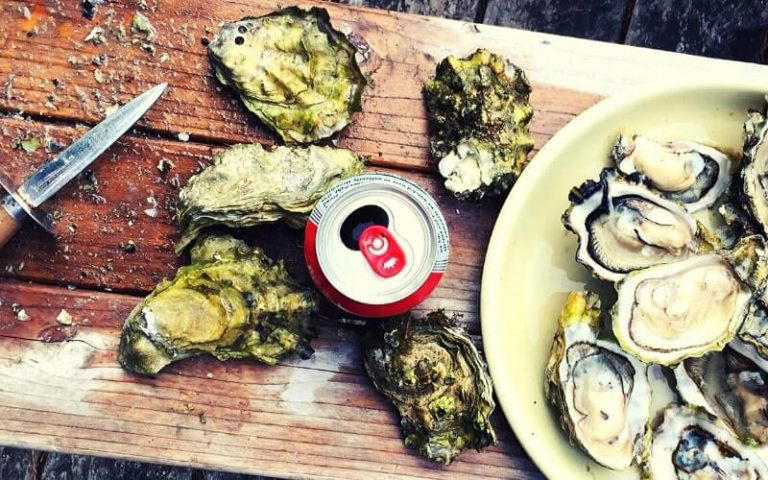 why are canned oysters so cheap