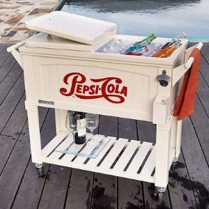 Top 10 Best Patio Coolers Reviews & Buying Guide 2
