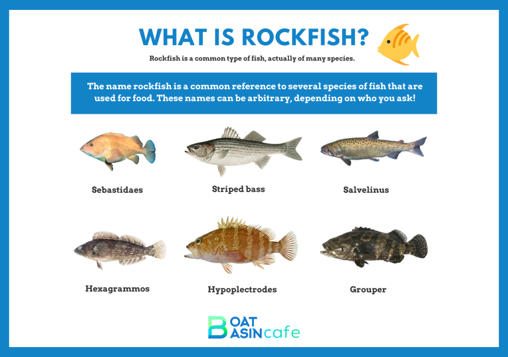 What is Rockfish?