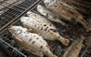 grill rockfish