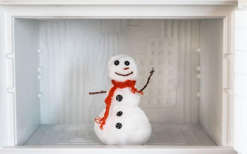 manual defrost refrigerator