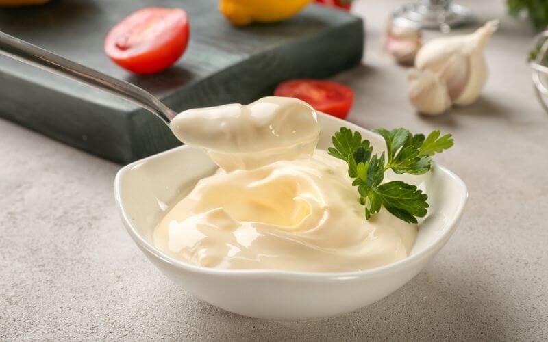 10 Best Substitute for Mayo That Tastes Better and are Healthier!