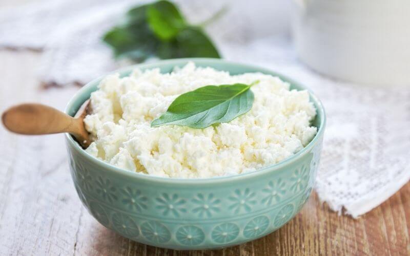 homemade ricotta cheese 