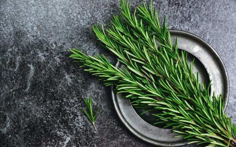 What To Substitute For Rosemary When You Have Run Out Of It!