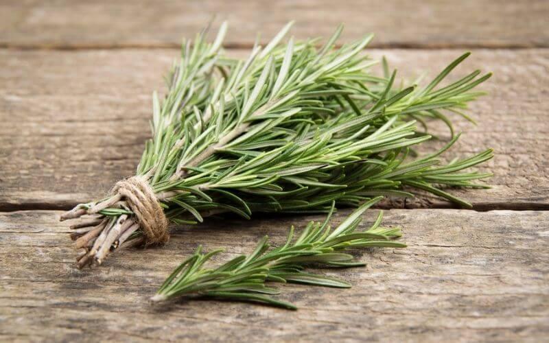 substitute for rosemary