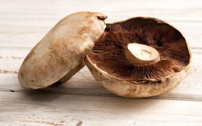 how to clean portobello mushrooms