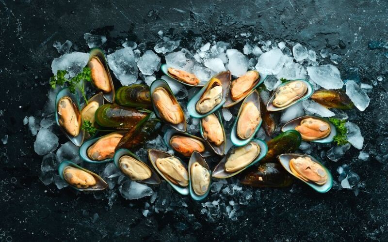 green mussels