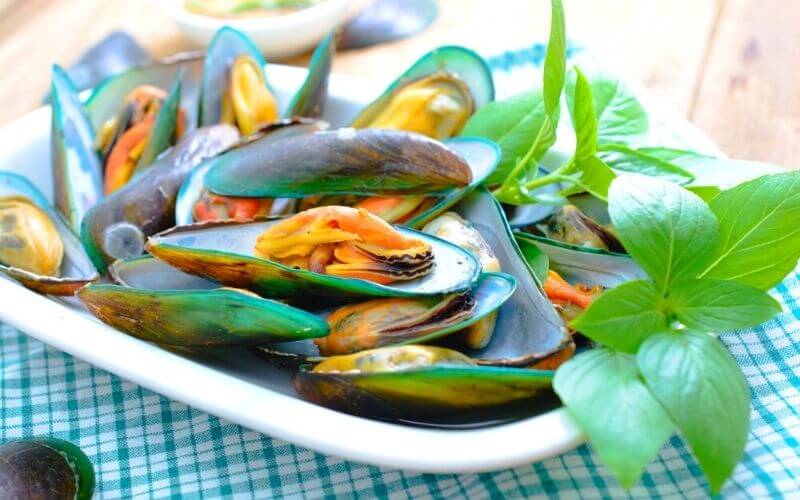 green mussels vs black mussels