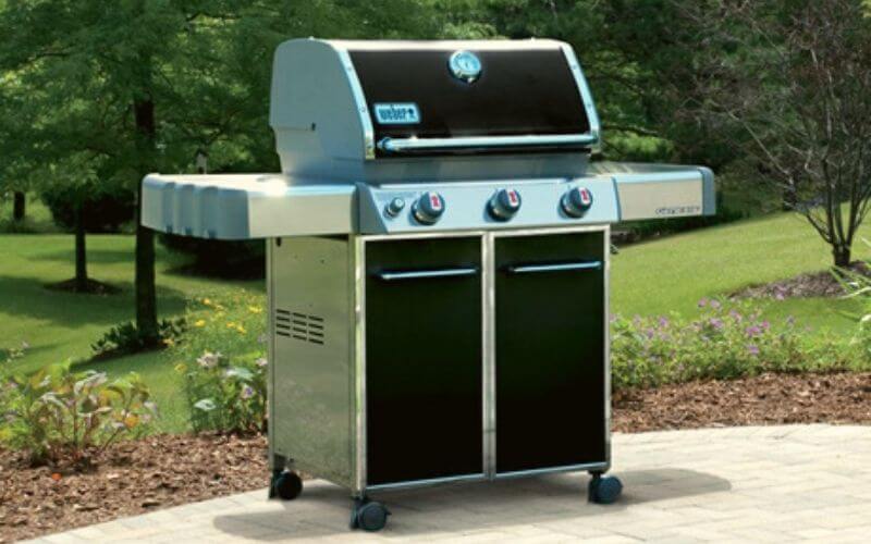 weber genesis e 310