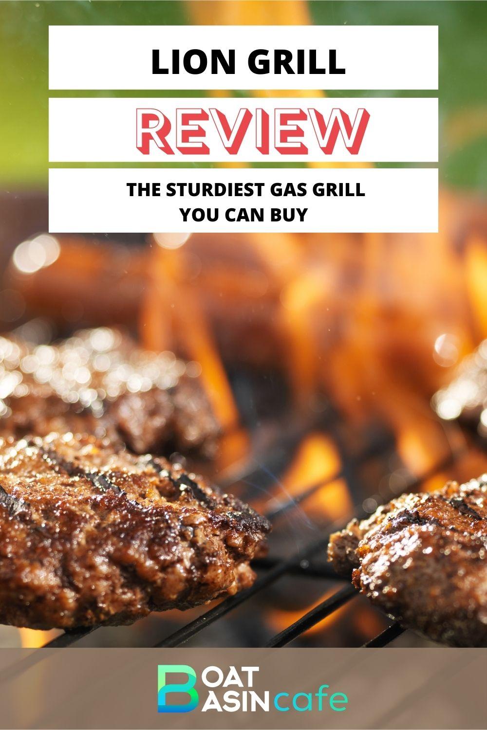 Lion Grill Review: The Best Gas Grill You Can Buy
