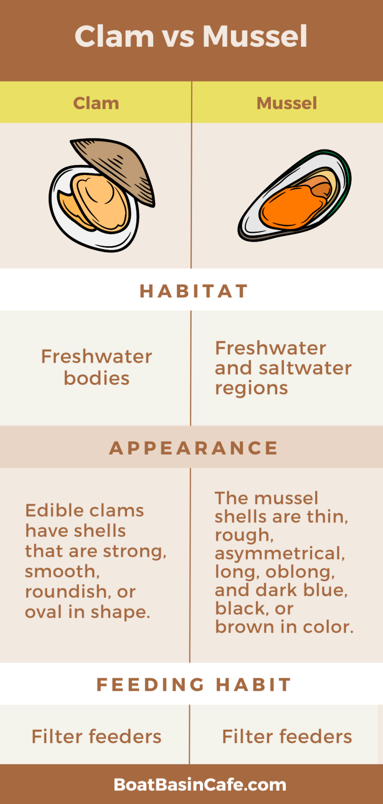 Clam Vs Mussel Startling Differences You Had No Clue About!