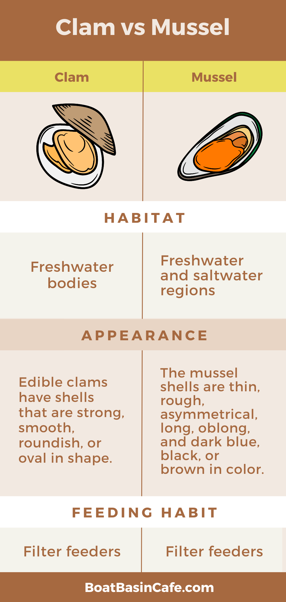 Clam vs Mussel: Startling Differences You Had No Clue About! 1