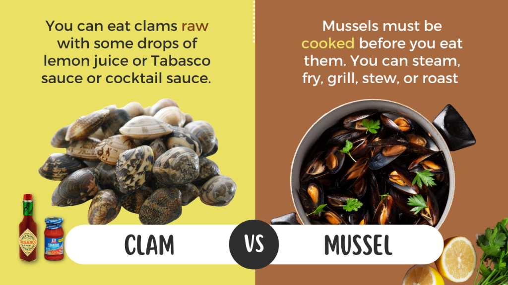 Clam Vs Mussel Startling Differences You Had No Clue About!