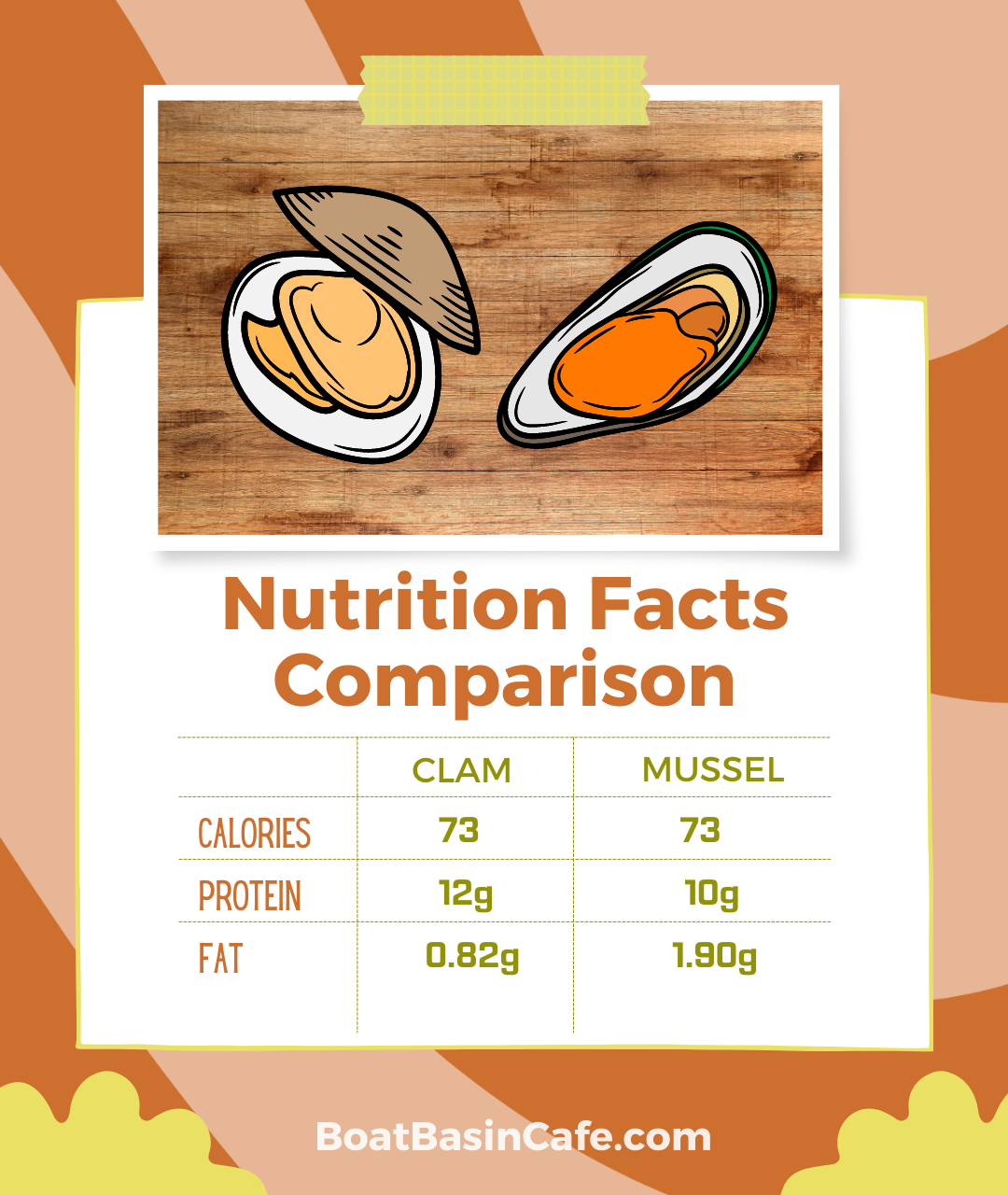 Clam Vs Mussel Startling Differences You Had No Clue About