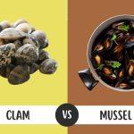 clam vs mussel