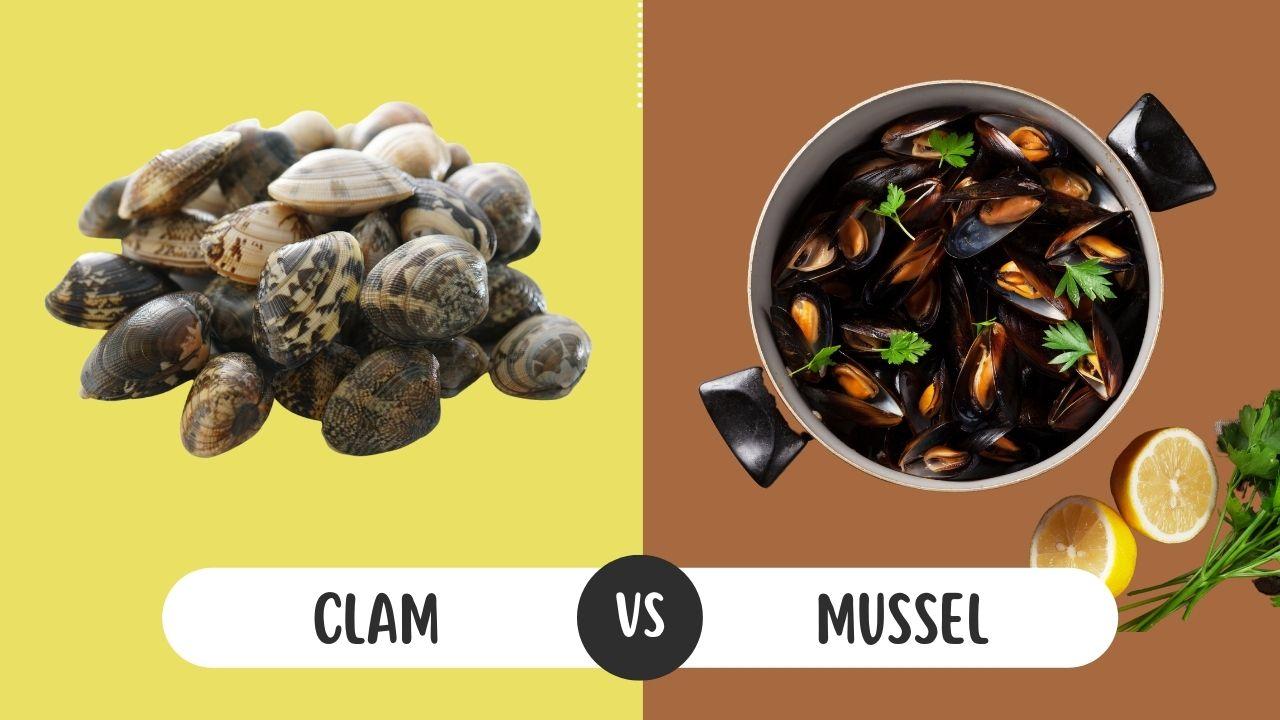 Clam vs Mussel: Startling Differences You Had No Clue About!