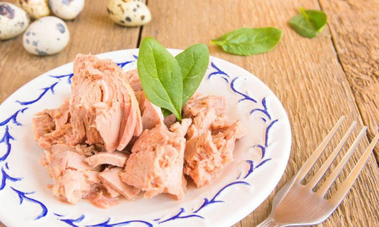 Raw, Leftover, Canned Tuna: Your Fridge Shelf Life Guide