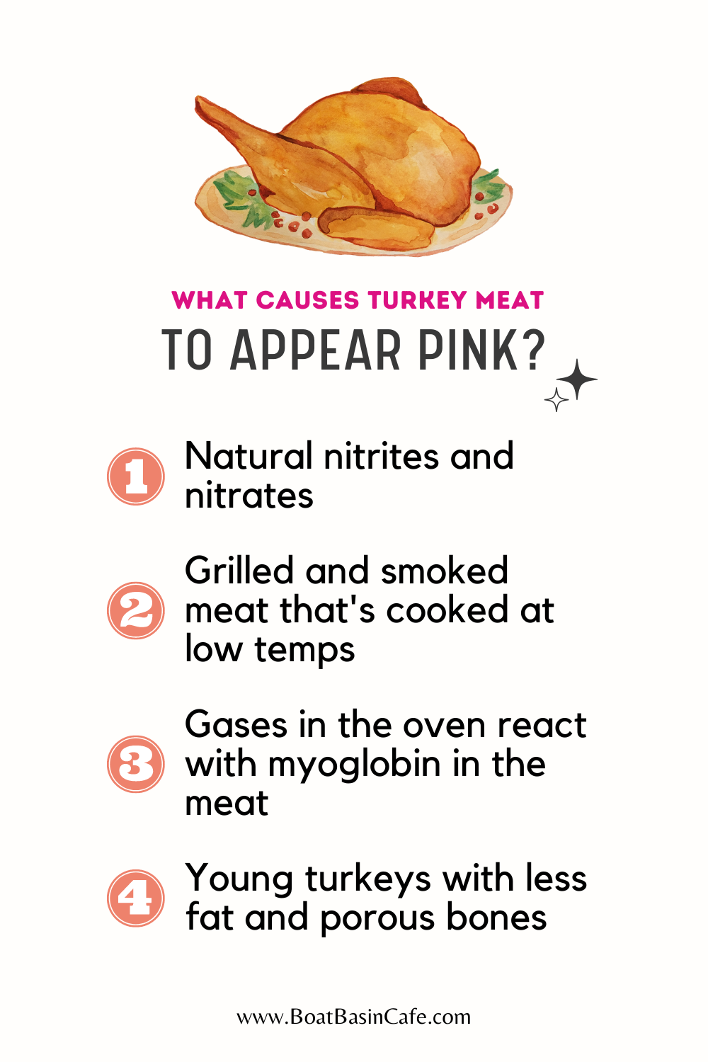 What Causes Turkey Meat To Appear Pink