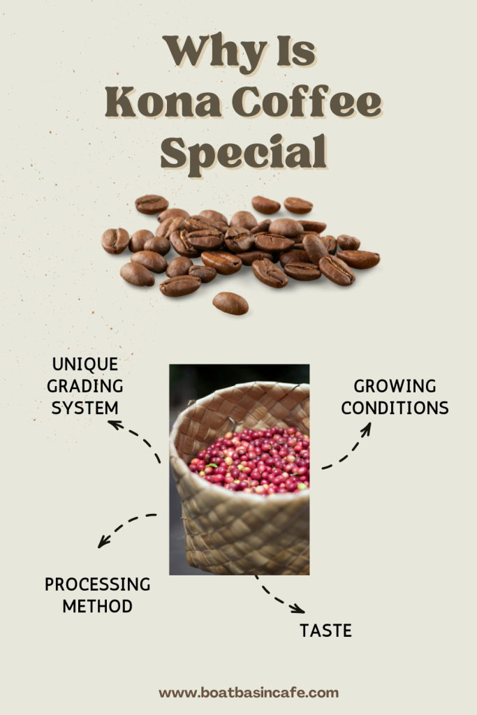 What Makes Kona Coffee Special?