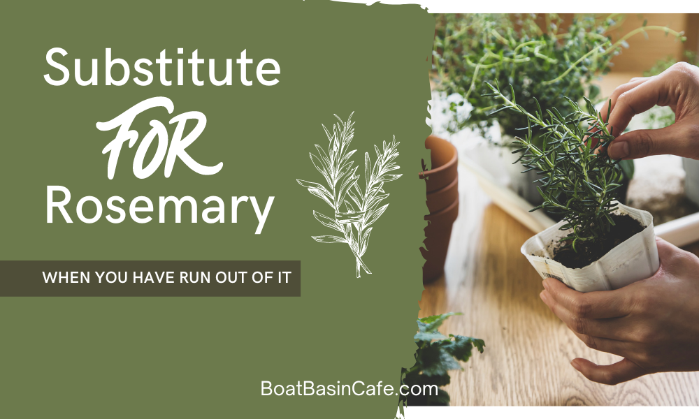 What To Substitute For Rosemary When You Have Run Out Of It!