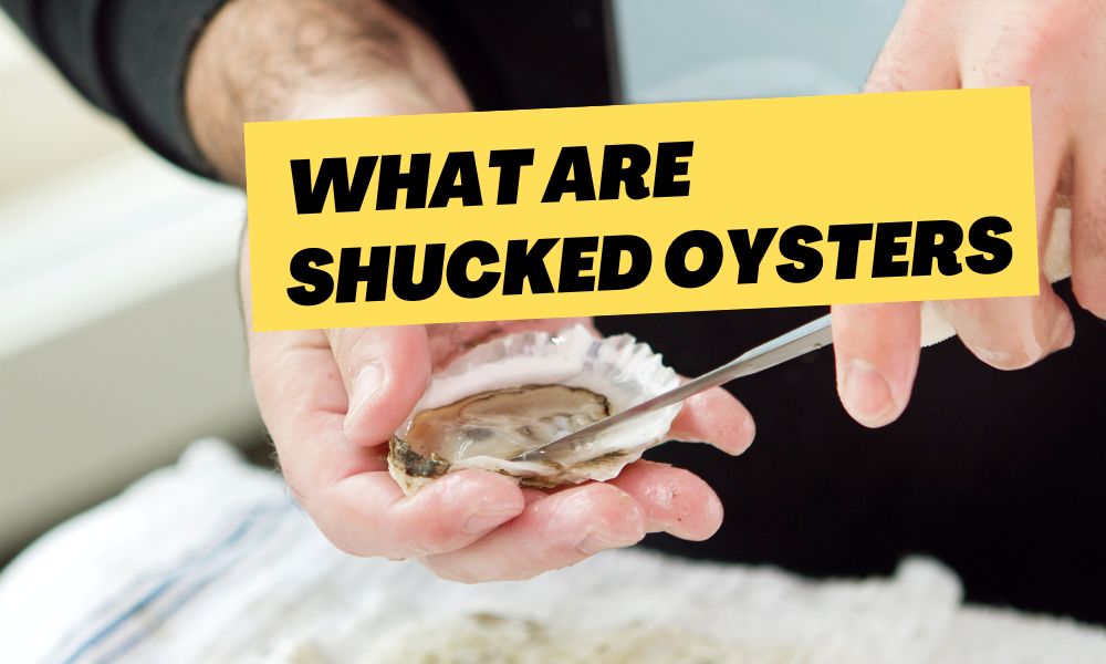 What Are Shucked Oysters?