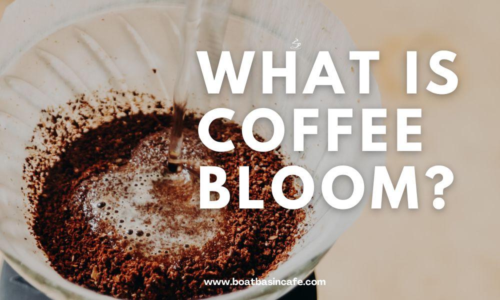 What is Coffee Bloom? All Your Questions Answered