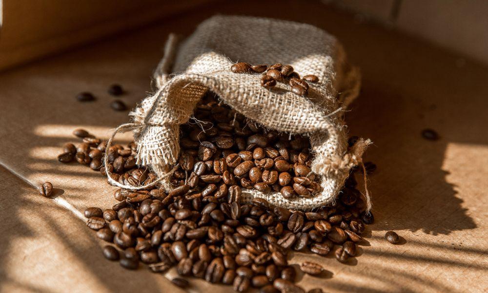 Do Oily Coffee Beans Affect the Taste of Coffee? 1