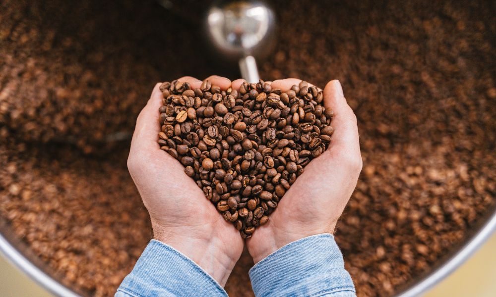 Do Oily Coffee Beans Affect the Taste of Coffee? 4