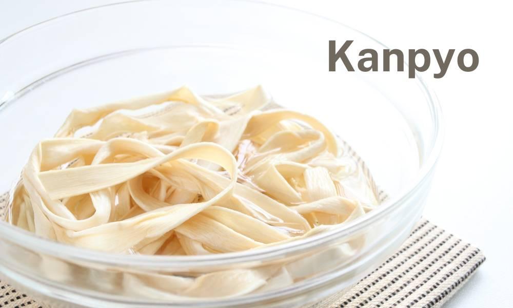 Kanpyo 101: A Beginner's Guide to Working with Dried Gourd Strips 1