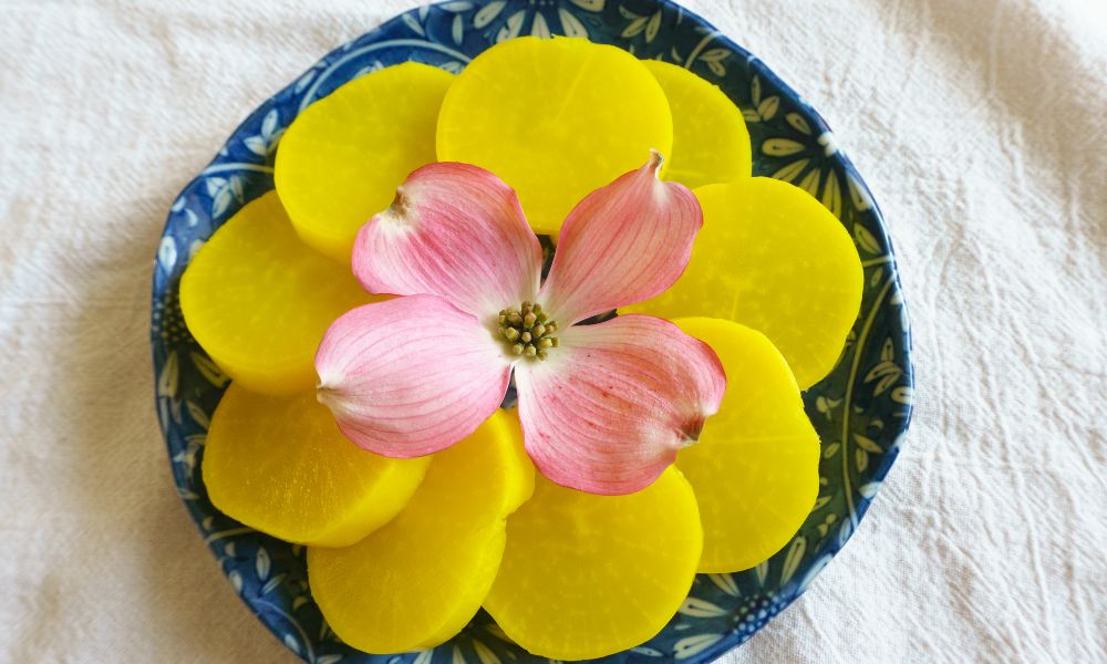 Oshinko: The Traditional Japanese Pickled Radish Recipe and Uses 13