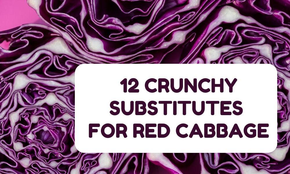 12 Crunchy Substitutes for Red Cabbage with an Amazing Taste 1