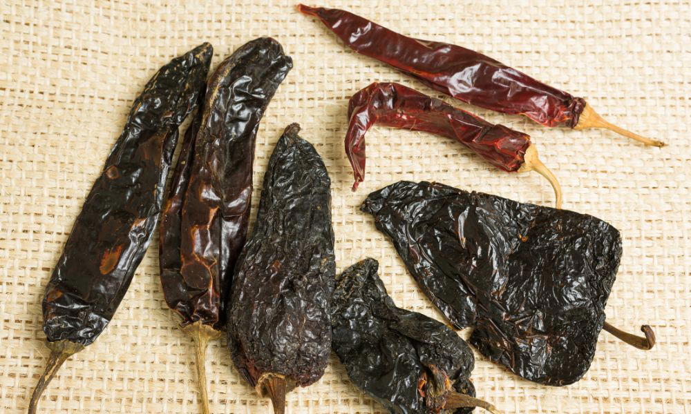 The Spice is Right: Unearthing the Perfect Ancho Chili Pepper Substitute