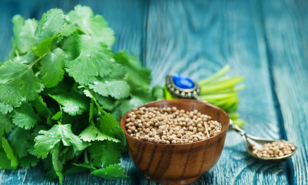 16 Practical & Easy to use substitute for coriander powder! 2