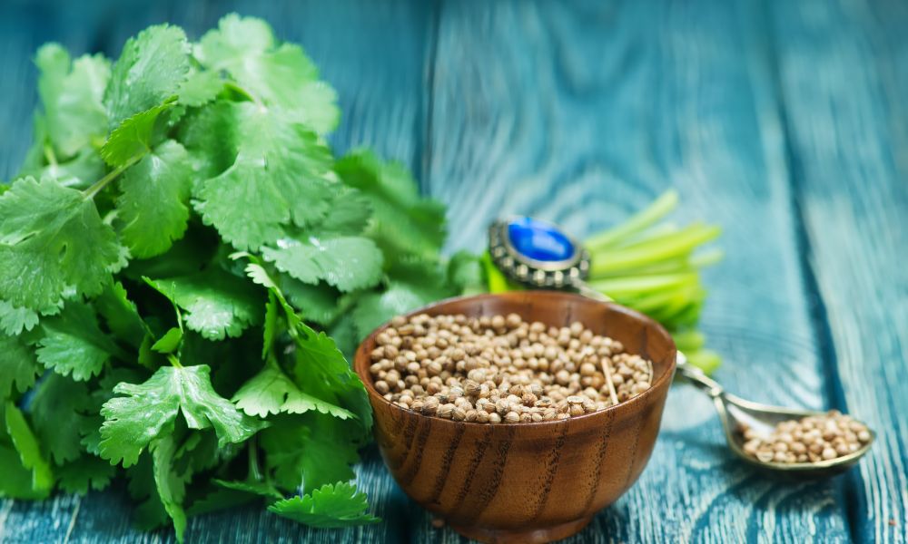 16 Practical & Easy to use substitute for coriander powder!