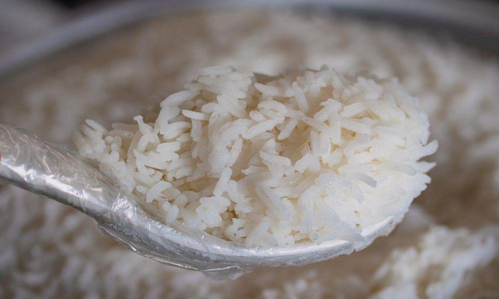 The Grain Guardian: How to Keep Cooked Rice Fresh Like a Pro