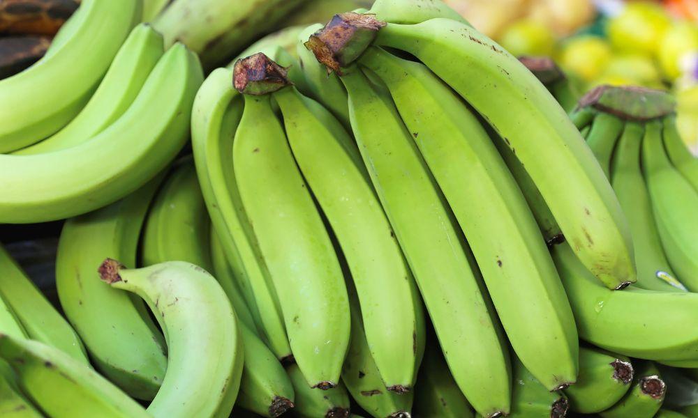 how long for green bananas to ripen