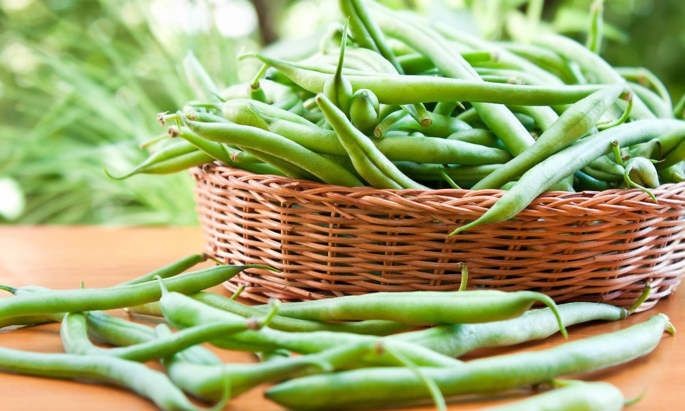 How To Store Green Beans In The Refrigerator Keep Your Beans Fresh And