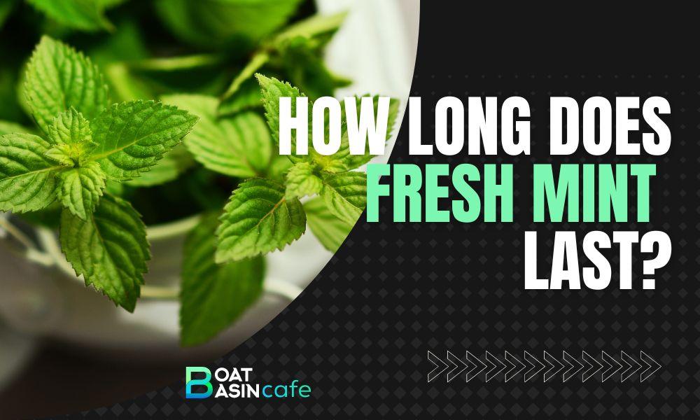 how long does fresh mint last