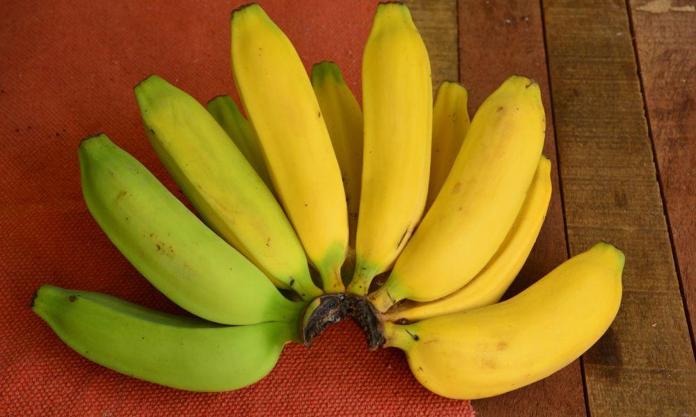 How Long for Green Bananas to Ripen? Find Out Now! 2