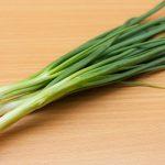 how to store spring onions in the fridge