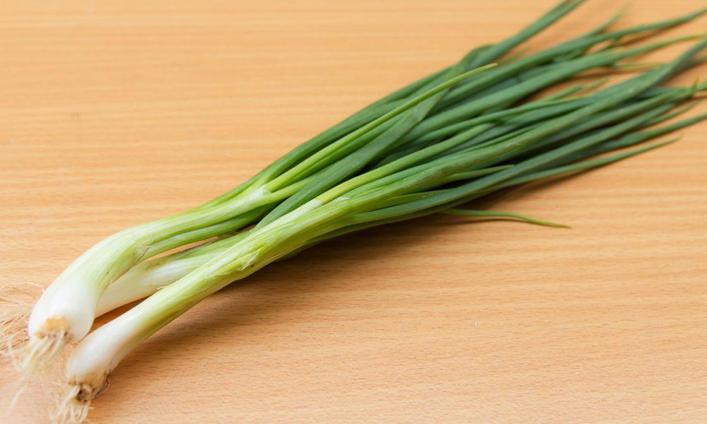 how to store spring onions in the fridge