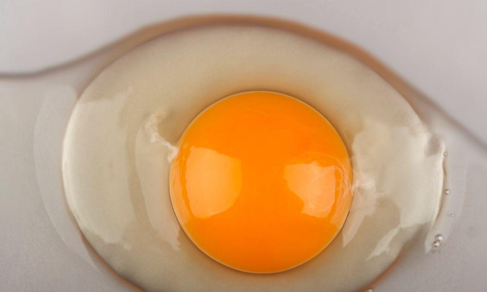 Unlocking the Shelf Life Secrets: How Long Do Organic Eggs Last in the Fridge? 4