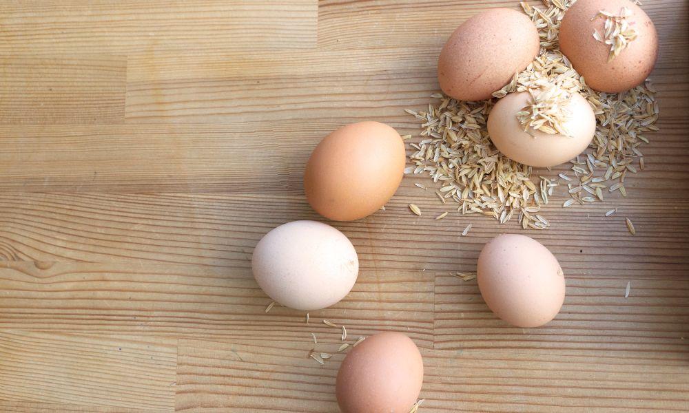 Unlocking the Shelf Life Secrets: How Long Do Organic Eggs Last in the Fridge? 1