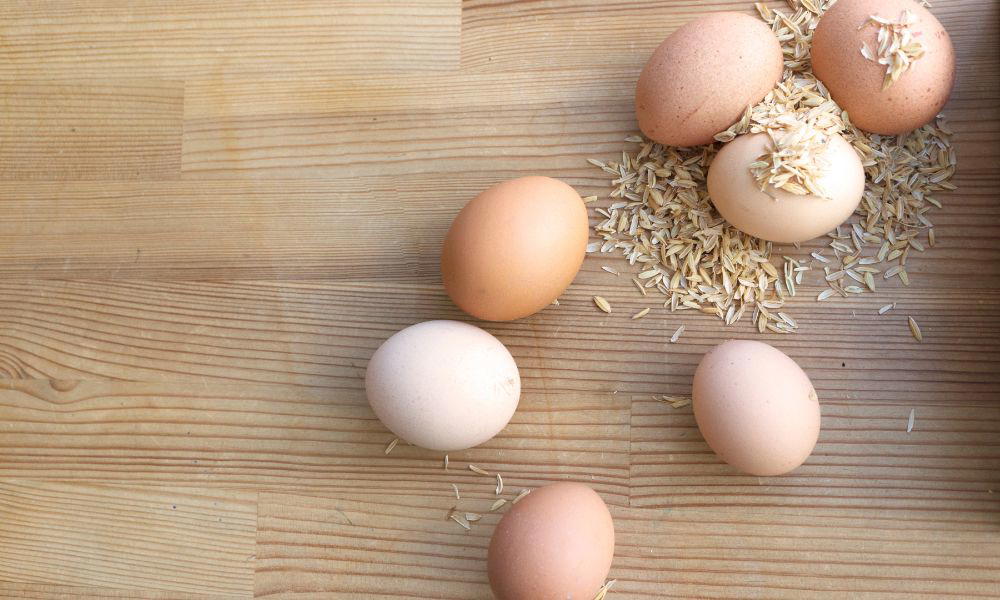 Unlocking the Shelf Life Secrets: How Long Do Organic Eggs Last in the Fridge? 1