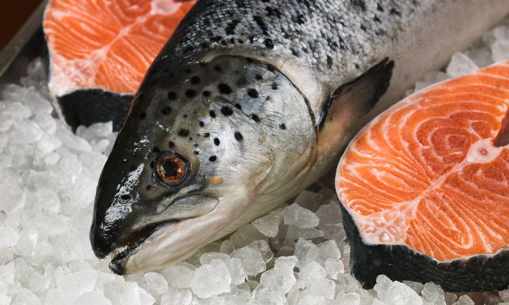 how long is fresh salmon good for in the fridge