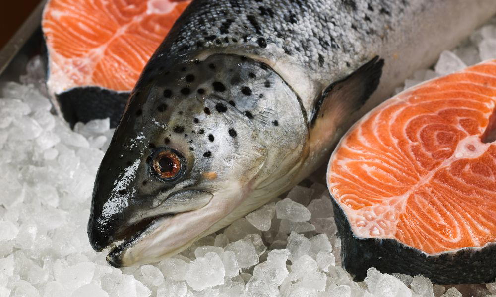 How Long Is Fresh Salmon Good for in the Fridge? Find Out the Ideal Storage Time