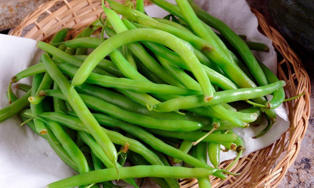 How to Store Green Beans in the Refrigerator: Keep Your Beans Fresh and Crisp! 5