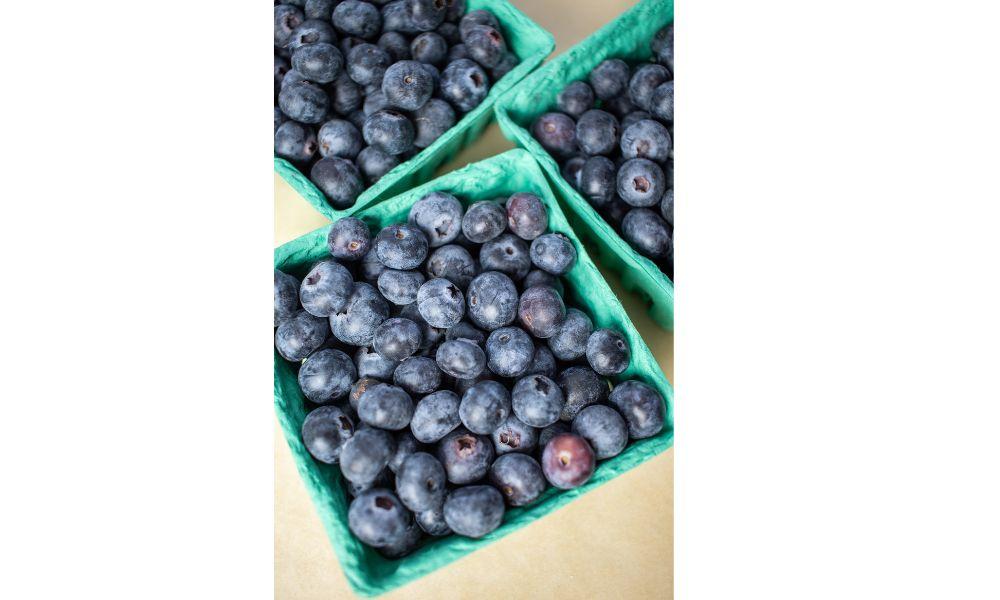 How to Keep Blueberries Fresh for Longer: Expert Tips and Tricks 1