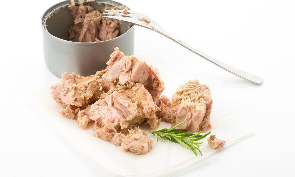 How Long Is Canned Tuna Good for After Opening: A Comprehensive Guide